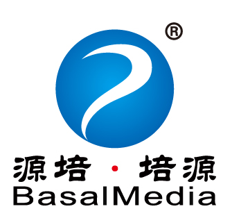 Company A