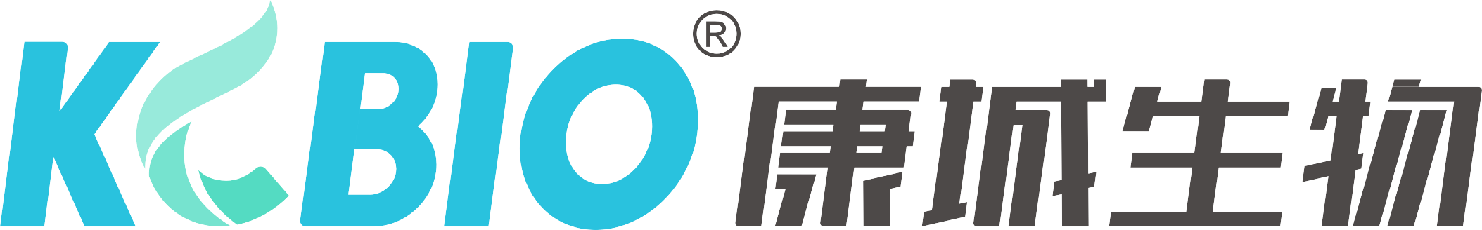 Company A