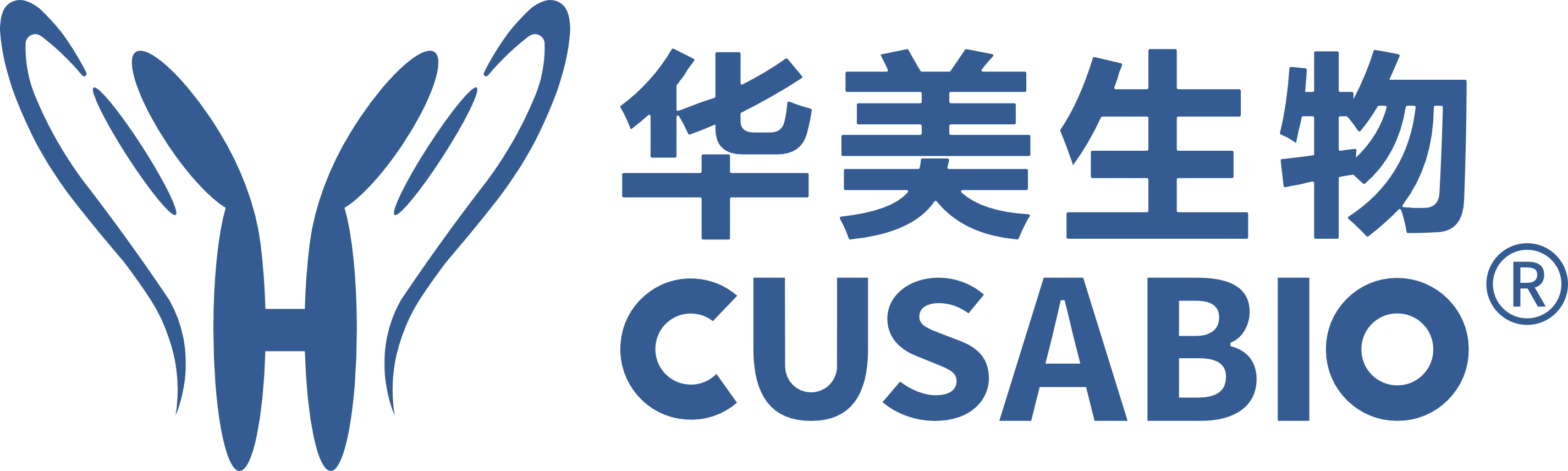 Company A